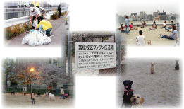 �h�b�O�������̃C���[�W�ʐ^